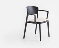 Andus Kunststoff Armstuhl-3