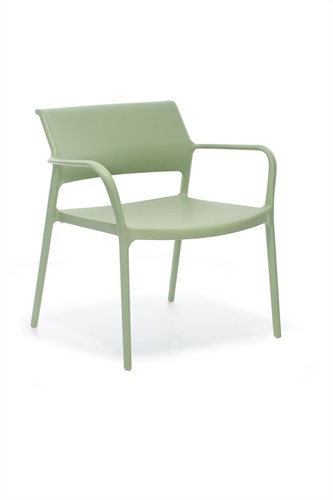 Ara 316 - kunststof lounge stoel met armleggers - kleur Groen (VS)