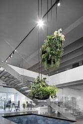 Culture - hangende plantenbak