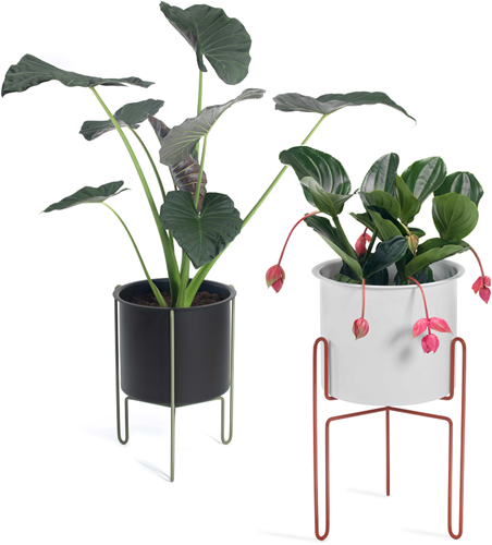 Meridius planter - omkeerbare plantenbak in 2 verschillende hoogtes