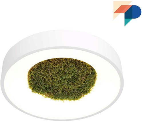 Moslamp: wandlamp of plafonnière